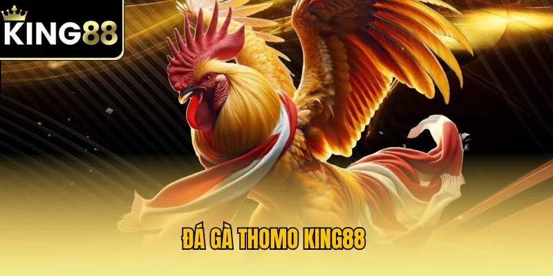 Đá Gà Thomo KING88 – Cá Cược Chiến Kê Đình Đám 2025